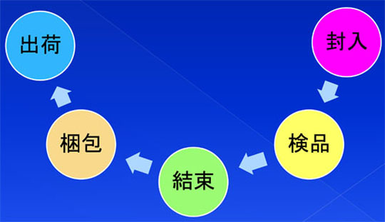 封入→検品→結束→梱包→出荷